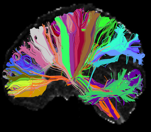 Tapping into the Power of ‌Mental Connections
