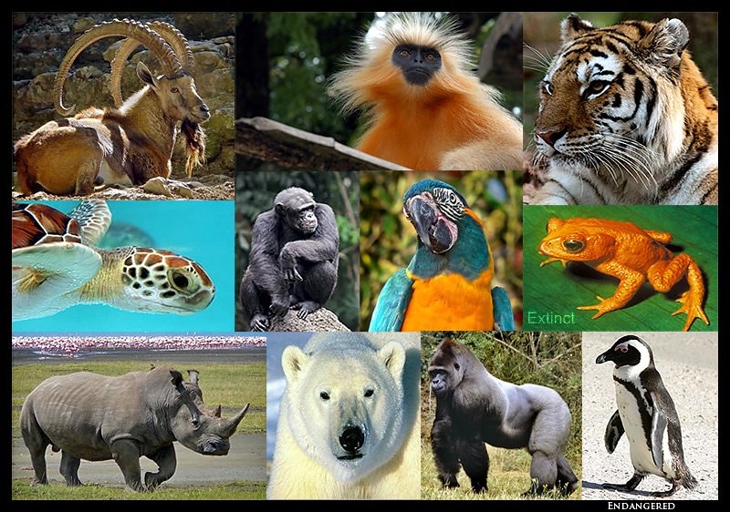 Preserving ⁤Endangered ​Species on⁢ Interstellar Worlds