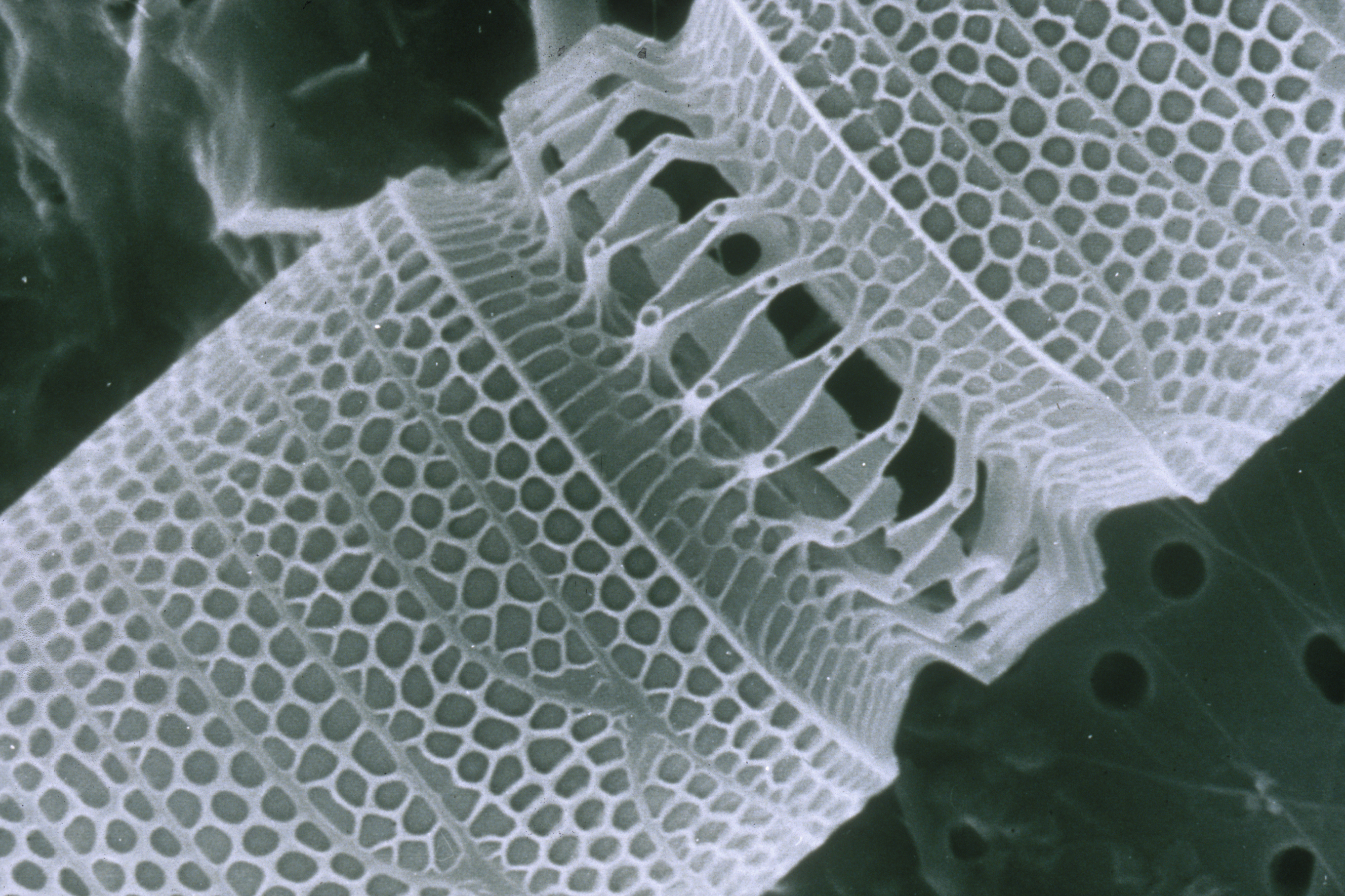 Harnessing Nanotechnology: ‌Pioneering ⁤Advancements ⁤and Strategies
