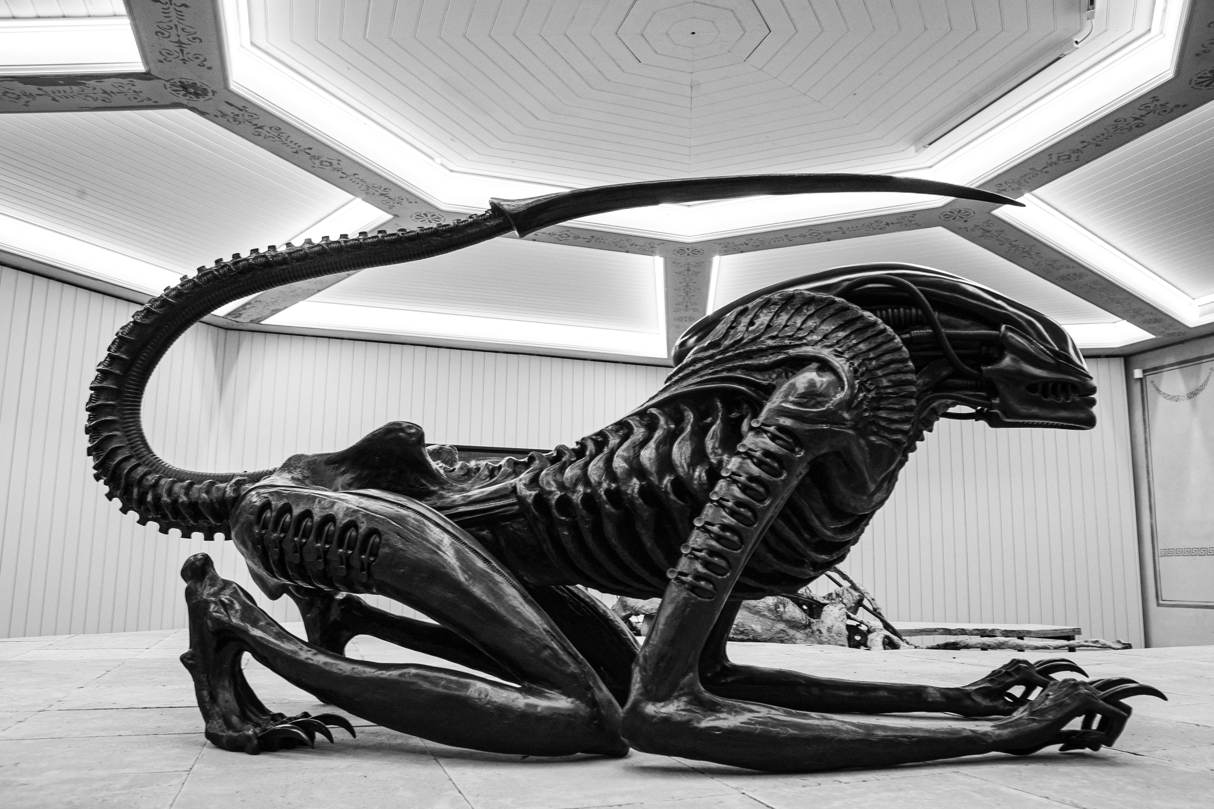 Mysterious Origins: Unraveling Alien's Role