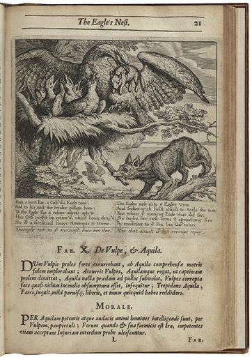 2. Dive into Extraordinary Lore: Why 
