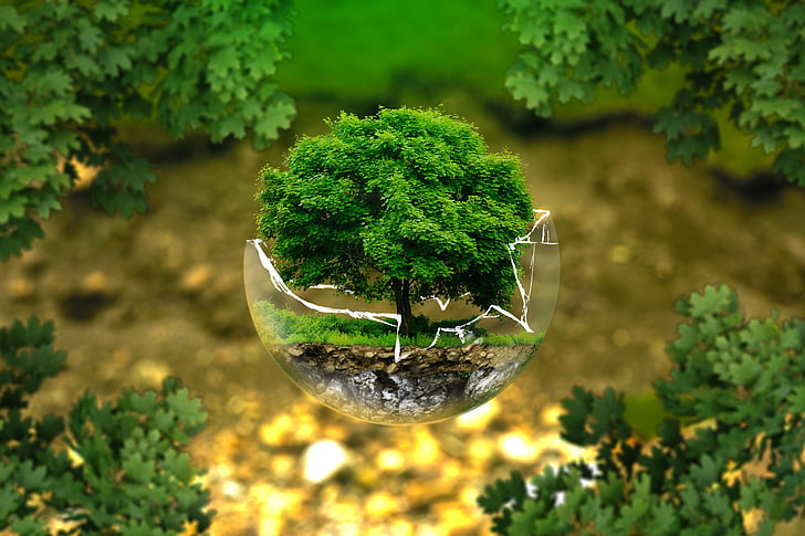 Revolutionizing Environmental Conservation through Advanced Restoration Techniques