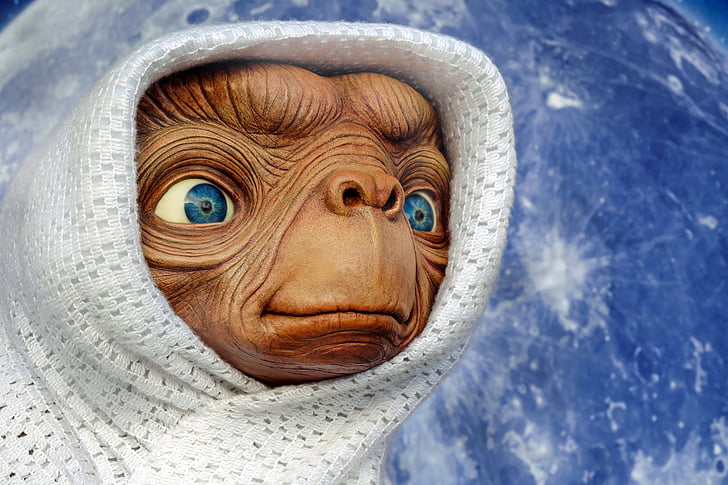 Immerse Yourself in an Extraterrestrial⁢ Cultural Extravaganza