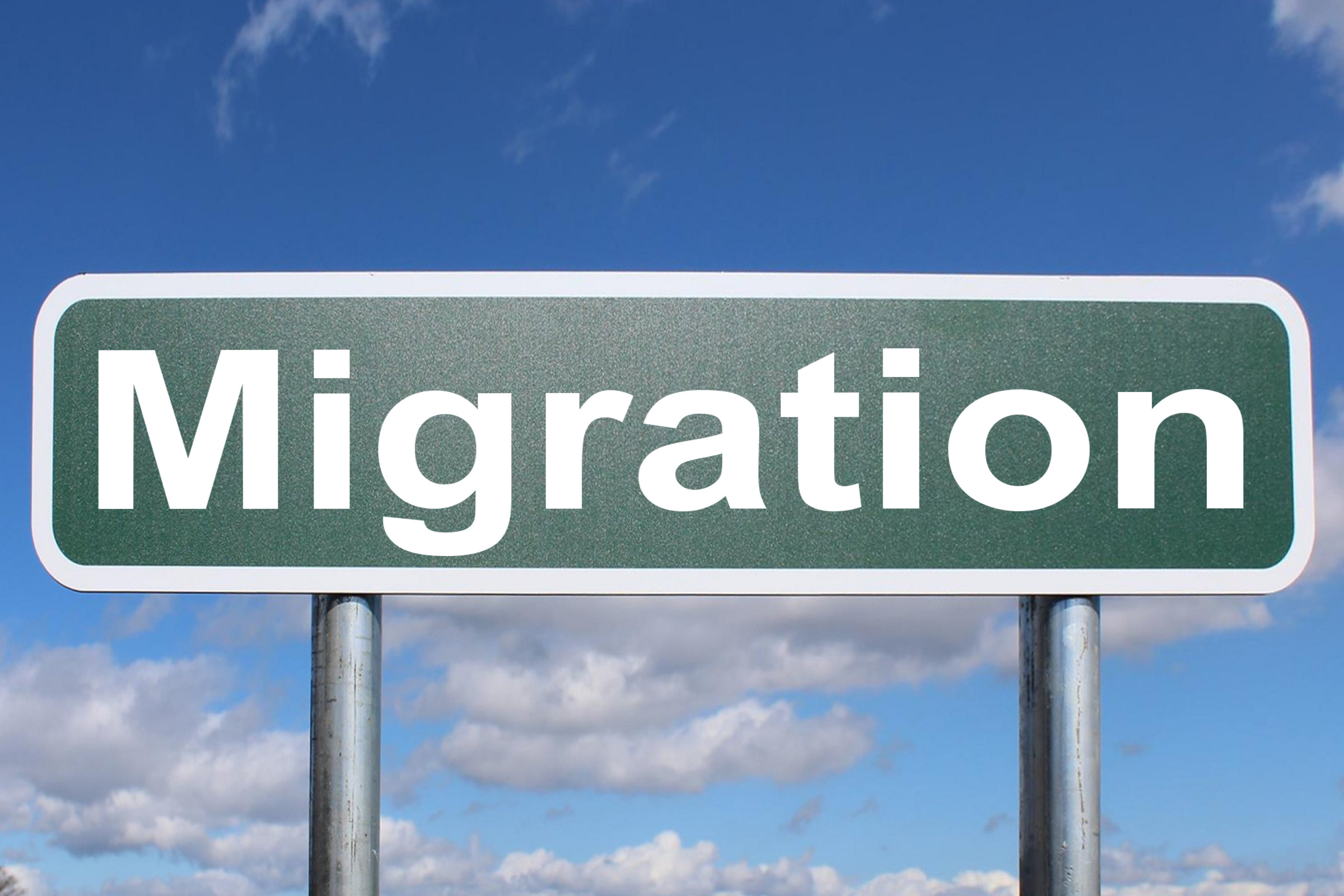 Migration Patterns: Insights and Recommendations