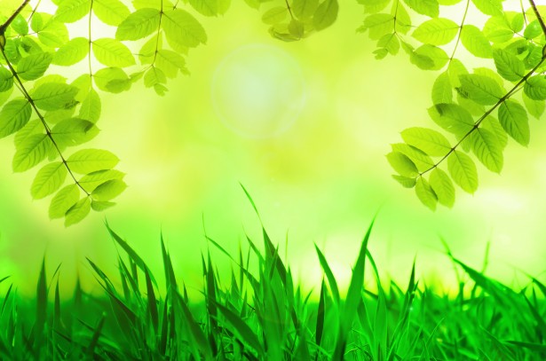 Advancements in Green Tech​ Solutions